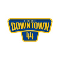 Pathankot Downtown 44 logo - Similar company to Data Entry Training Courses In Pathankot