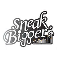 Sneak Bigger logo - Similar company to Watch And View
