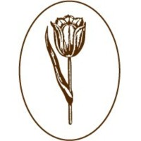 New Amsterdam Partners