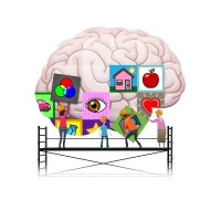 Oxford Brain Story logo - Similar company to Oliiki App- Build Your Baby'S Brain