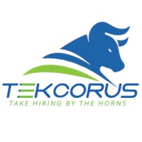 TEKCORUS Consulting Inc. logo - Similar company to Touchstone Its