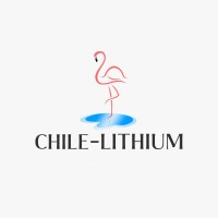 chile-lithium.com logo - Similar company to Gestran S.A.