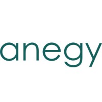 Anegy Digital Consulting logo - Similar company to Cloudrepublic Ab