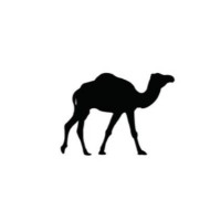 CamelTalent logo - Similar company to Modest Visons