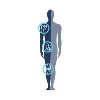 personalized arthroplasty club logo - Similar company to International Osteotomy Masters