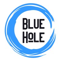 Bluehole (OPC) Pvt Ltd logo - Similar company to 200Ok Solutions