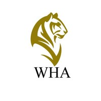 Wasimul Haque & Associates logo - Similar company to Live Technologies Ltd