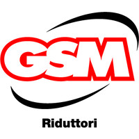 GSM SpA logo - Similar company to Stm Spa