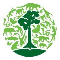 Borneo Nature Foundation logo - Similar company to The Tribes