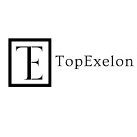 TopExelon logo - Similar company to Spykesoft Technologies