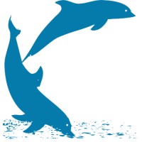 Blizzard Srl logo - Similar company to Letimbro Computers