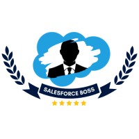 SalesforceBoss logo - Similar company to Fintact Corporate Solutions Private Limited