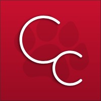 Cougar Creative logo - Similar company to Thallora