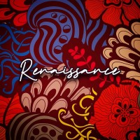 Renaissance Digital logo - Similar company to Techxonia, Llc