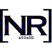 Null-Return IT Services & Consulting logo - Similar company to Dithra | It Services & Consulting