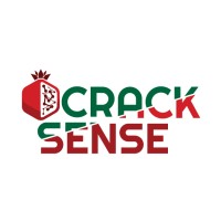 CrackSense logo - Similar company to High Rated Patch
