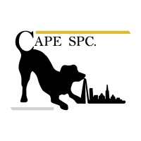 CAPE logo - Similar company to Safer Rig Services