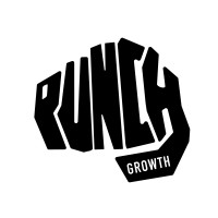 Punch Growth logo - Similar company to 18 Label Studios
