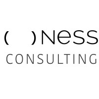 Ness Consulting logo - Similar company to Ness Consulting
