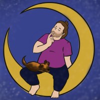 Des Vies De Devs logo - Similar company to Mintup