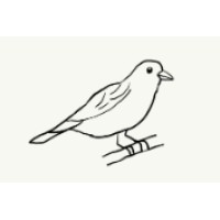 T. W. Sparrow Publishing Llc