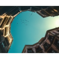 GambiniPro logo - Similar company to Alfasom