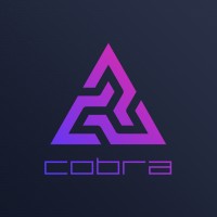 Cobra.io logo - Similar company to Bitnordex
