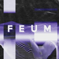 FEUM logo - Similar company to Ppcd | Greenstruct