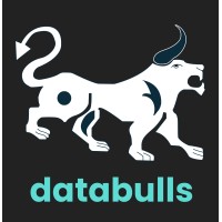 DataBulls logo - Similar company to Databulls