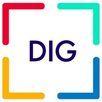 Digital Innovation Group logo - Similar company to Plus Ai Gobal