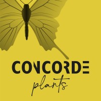 Concorde Plants logo - Similar company to Bm Roses