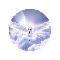 Sahaab Trading Private Limited logo - Similar company to Tripsset