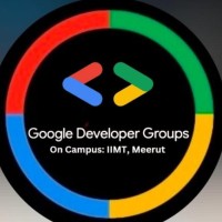 GDG On Campus: IIMT, Meerut logo - Similar company to Rd Infotech