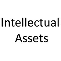 Intellectual Assets, Corp. logo - Similar company to Twig Ventures