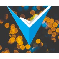 Vertex Solutions logo - Similar company to Vertx