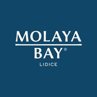Molaya Bay Resort & Residences logo - Similar company to Asap