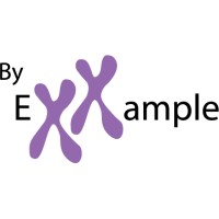 By Exxample logo - Similar company to 28Ish