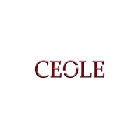 Ceole Marketing logo - Similar company to Webfox.Me