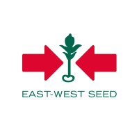 East-West International B.V. logo - Similar company to Spark Global Logistics Belgium Bv