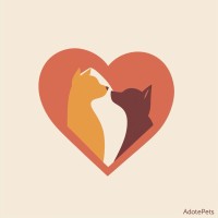 Adotei Pets logo - Similar company to Ajudapet