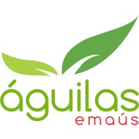 Águilas Emaús Piura logo - Similar company to Saservi