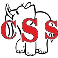 CSS & A VAUGHAN I.T logo - Similar company to Sny Technologies, Inc