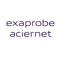Exaprobe Aciernet USA logo - Similar company to Quic Solution Usa