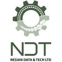 Nesian Data & Tech logo - Similar company to Tech Voice Data Limited