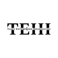 Tasev Enterprises Holdings Inc logo - Similar company to Focus.One