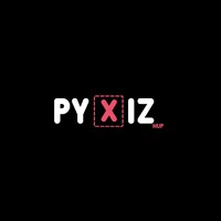 Pyxiz logo - Similar company to Pexys Sarl