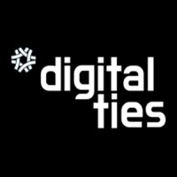 Digital Ties logo - Similar company to Itrepreneur