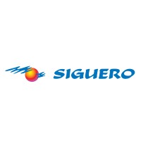 Autocares Siguero logo - Similar company to Autocares David