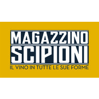 Magazzino Scipioni logo - Similar company to Abbia Nòva