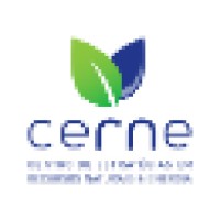 CERNE - Centro de Estrategias em Recursos Naturais e Energia